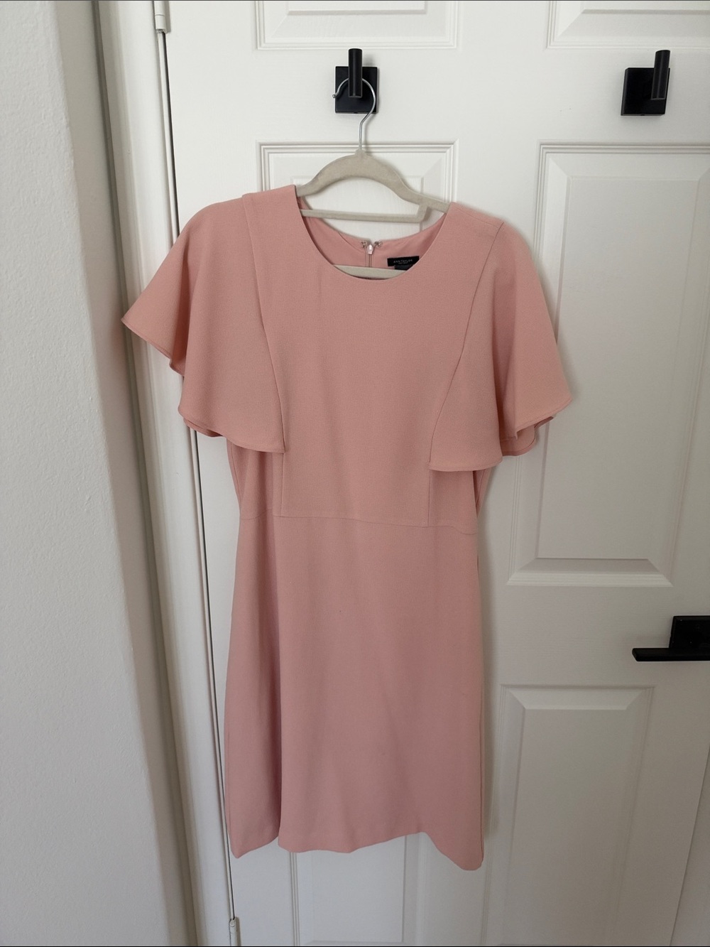 Ann Taylor Factory Dusty Rose Midi Dress with Flutter Sleeves